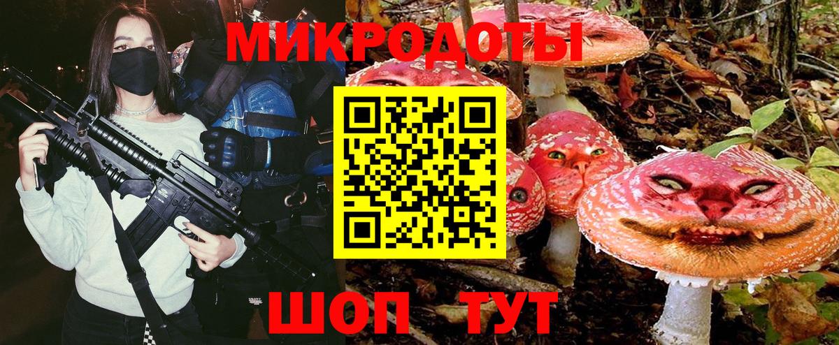 Псилоцибиновые грибы Psilocybe Каменск-Уральский